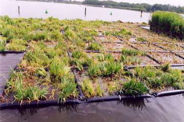 Floating wetland created by joining buoyant sub-units to create a floating frame to support plant growth 