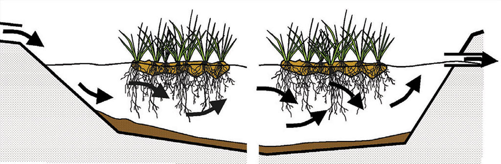 Figure 1 - Schematic longitudinal cross-section through a typical Floating Treatment Wetland system. Note that the water depth can vary appreciably in such a system without affecting plant growth. (Source: Headley and Tanner, 2006)