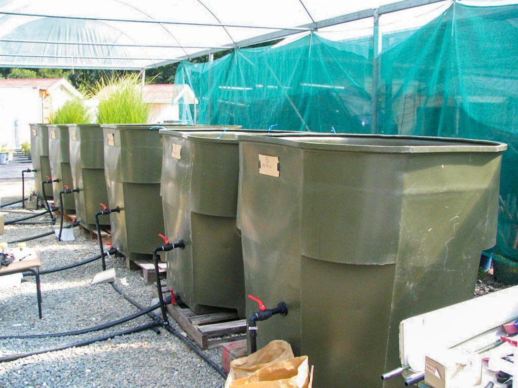 Figure 2 – Six of the 12 mesocosm tanks used in the batch experiments