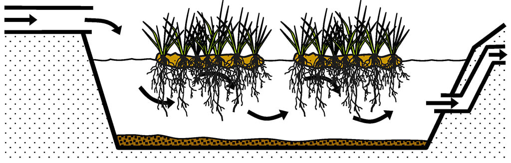 Figure 1. Schematic longitudinal cross-sections of a typical floating treatment wetland. Note that the water depth can vary without compromising plant health.