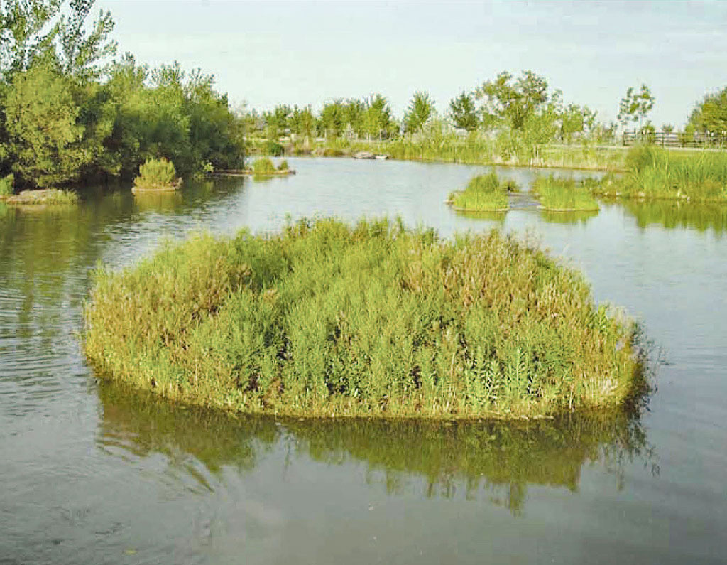 Figure 1A. A waterscape with several BioHaven® Floating Islands planted with native vegetation