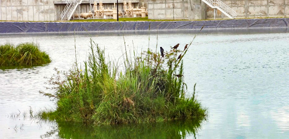 ​Nutrient Removal from Reclaimed Wastewater with BioHaven Floating Islands