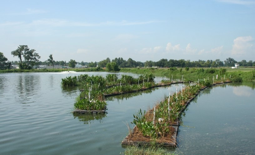 Wastewater - Nutrient Removal with Passive BioHaven Floating Islands