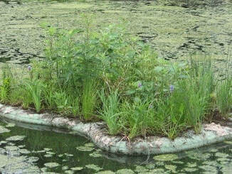 Mermaid Pool, New Jersey - Phosphorus Reduction to Remove / Prevent Algae