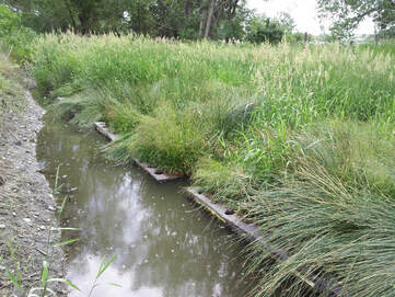 Metra Park, Billings - Stormwater and Nutrient Trading Evaluation Project