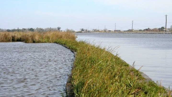 BioHaven Living Shorelines and Floating Breakwaters