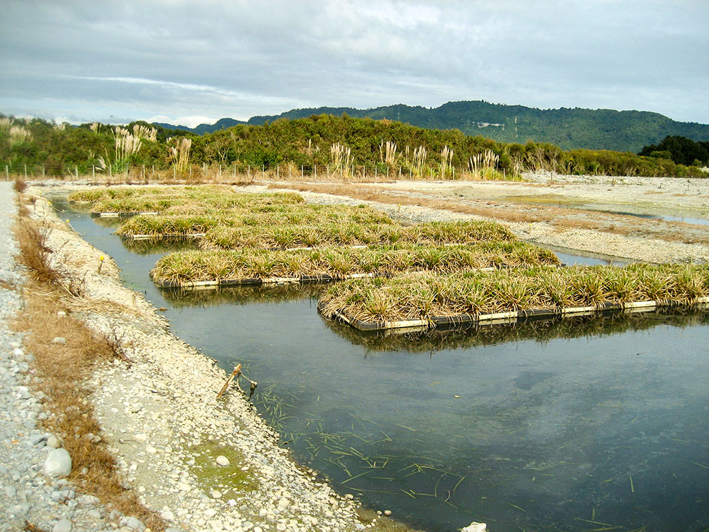 Treatment of Landfill Leachate Using BioHaven Technology